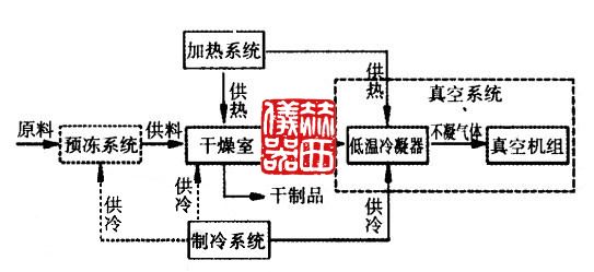 常見(jiàn)冷凍干燥設(shè)備